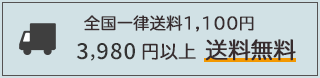全国一律送料1,100円 3,980円以上送料無料